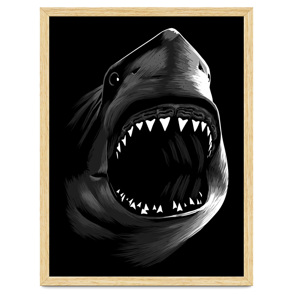 Megalodon