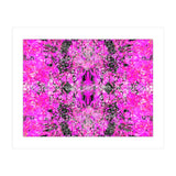 6 (Print Only) thumbnail