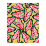 Caladium, Botanical Tropical Nature Plants, Vintage Bohemian Exotic Blush Leaves (Print Only) thumbnail