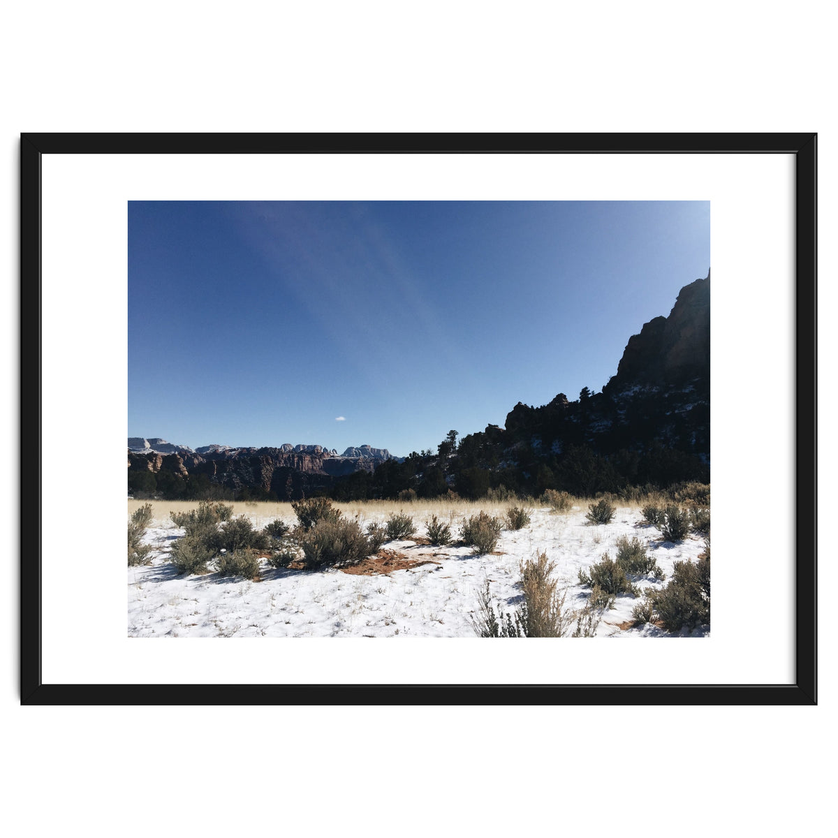 Zion National Park II