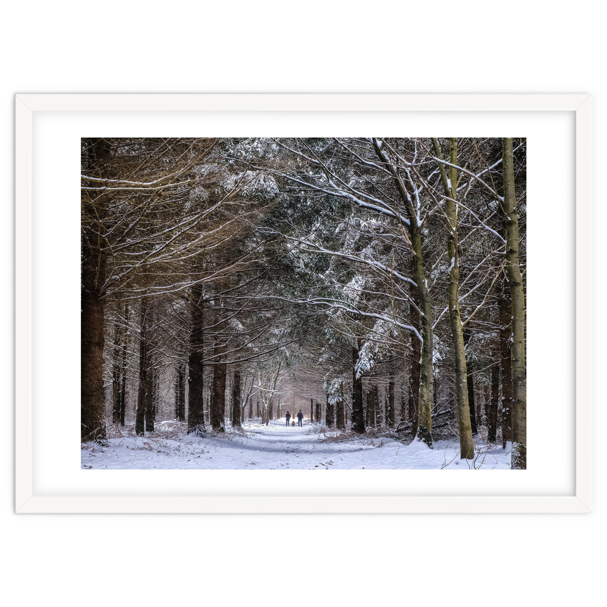 Dog Walkers in the Snow.  Heath Warren - Hampshire