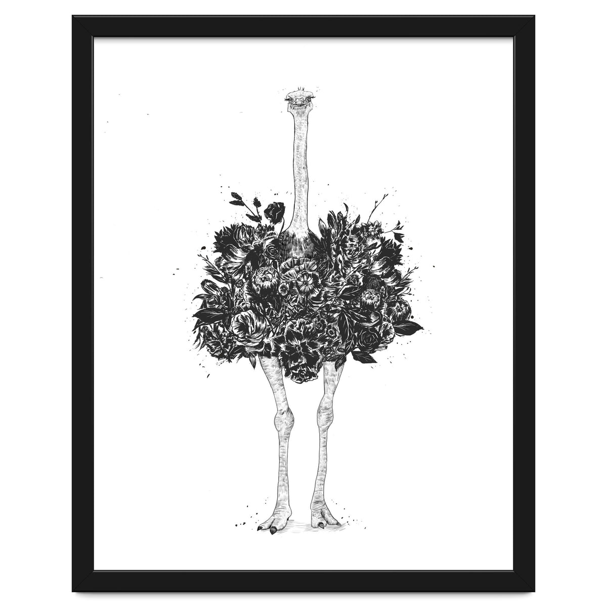 Floral Ostrich