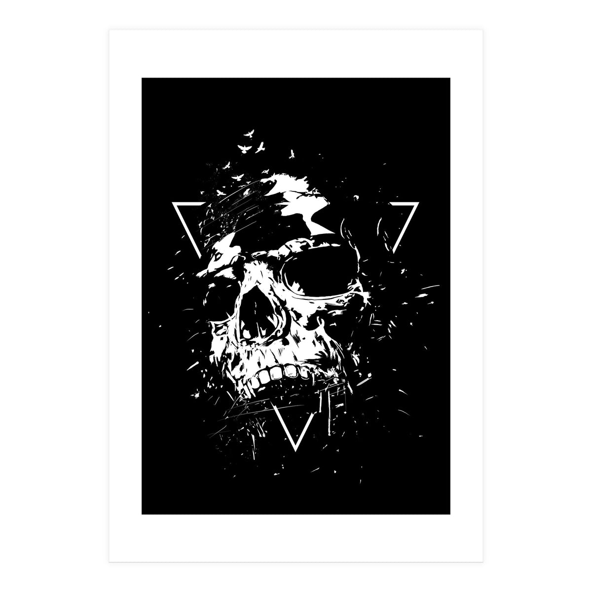 Skull X (Bw) (Print Only)