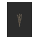 Delicate Fynbos Botanicals in Gold and Black (Print Only) thumbnail