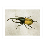 83 (Print Only) thumbnail