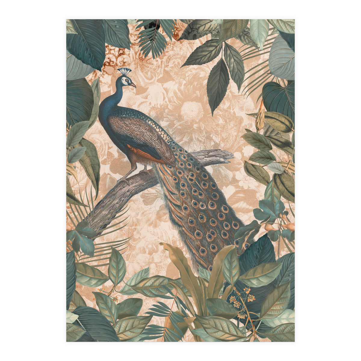 Vintage Peacock (Print Only)