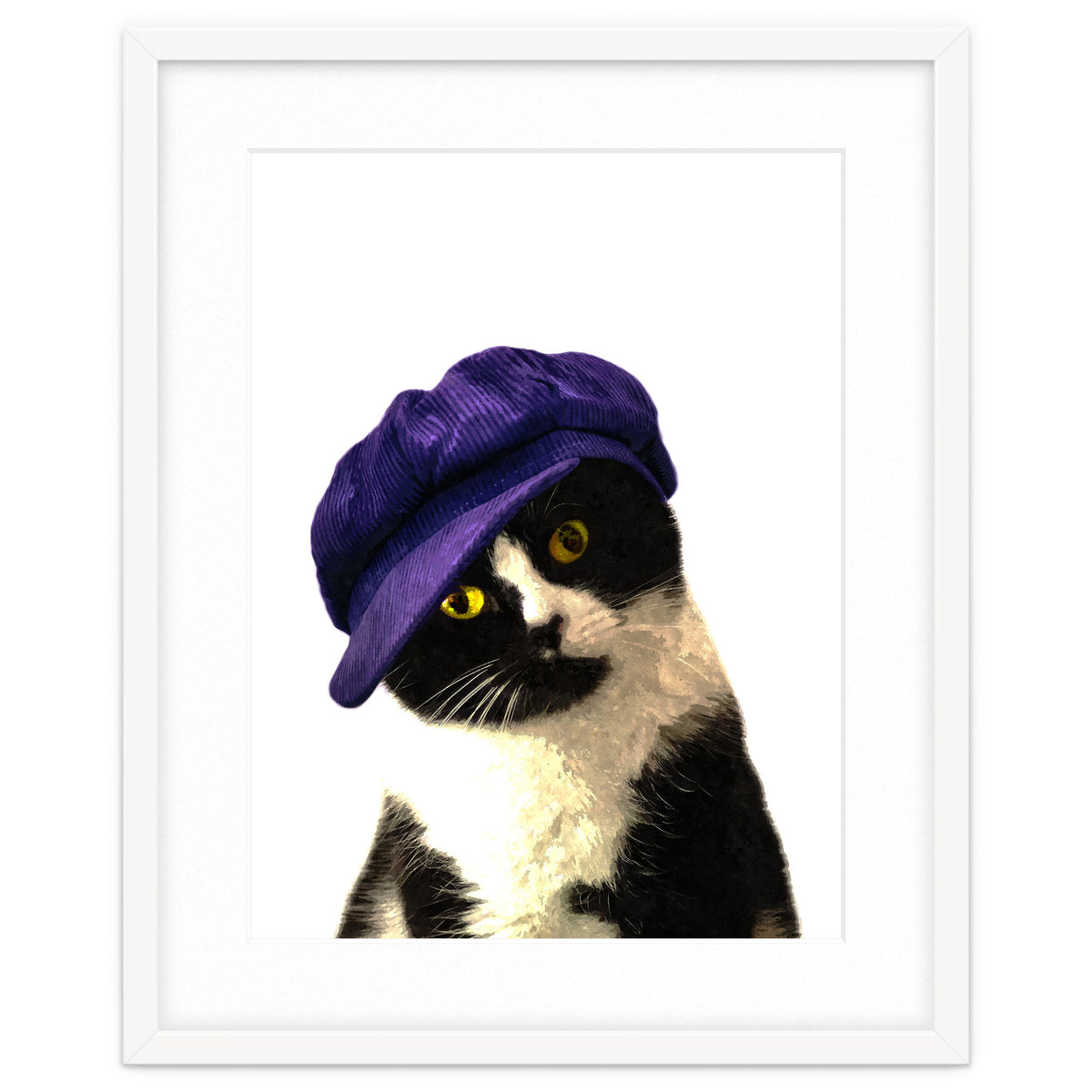 Cat Blue Hat