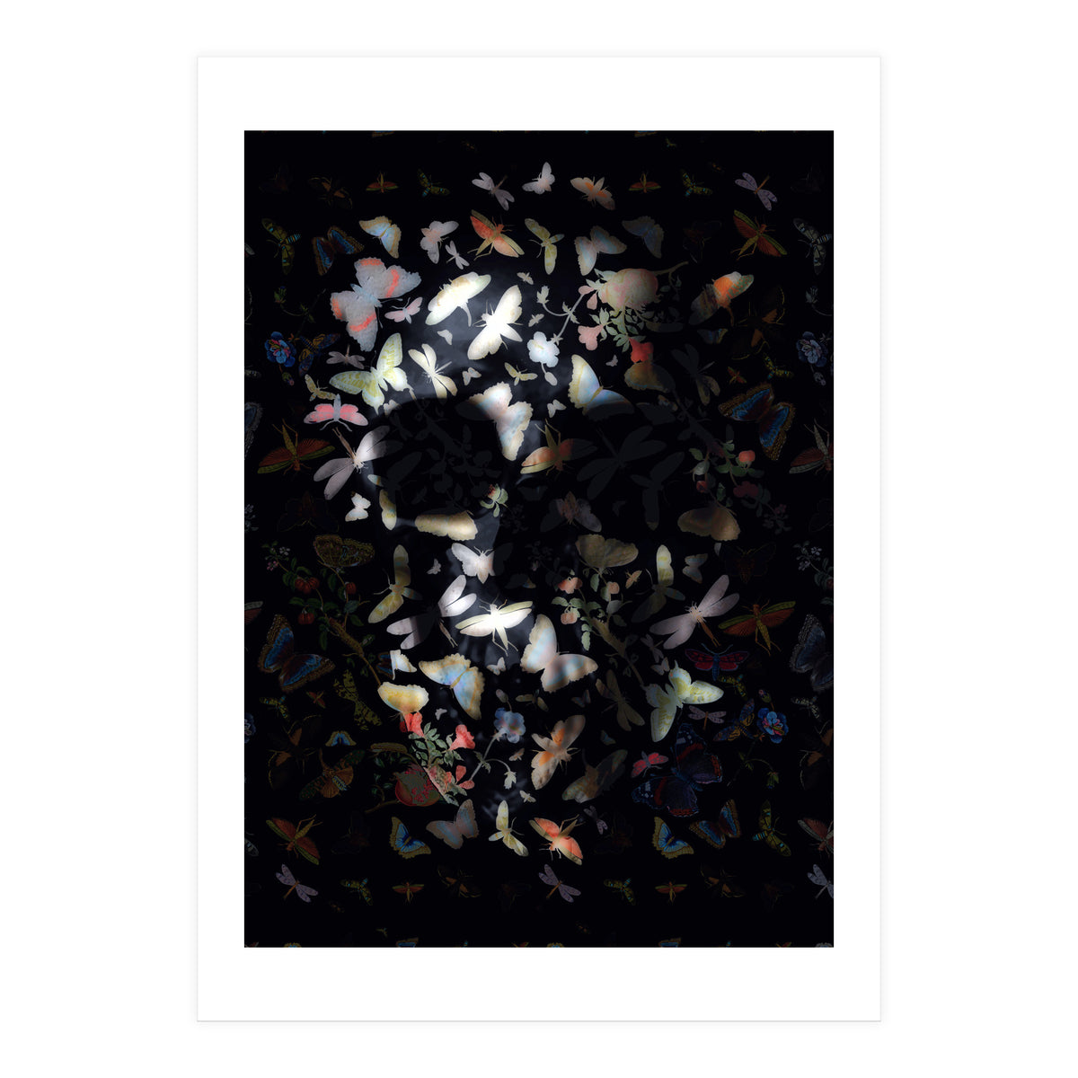 Butterfly Skull (Print Only)