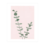 Modern Eucalyptus (Print Only) thumbnail