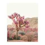 Boho Joshua Tree Cactus (Print Only) thumbnail