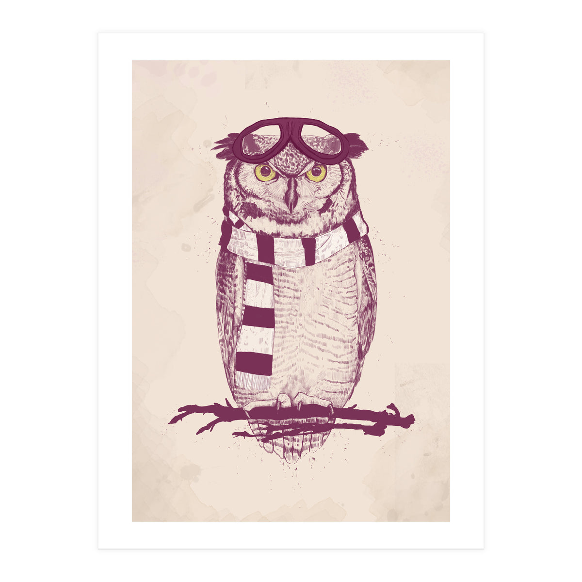 The Aviator (Print Only)