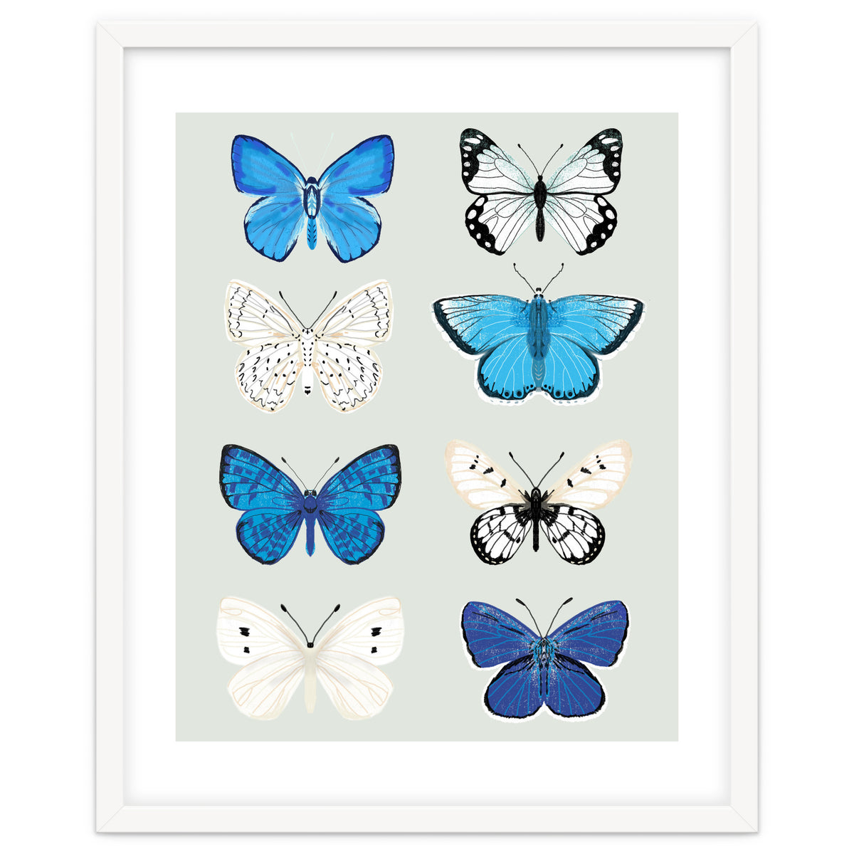 Lepidoptery Study No. 3