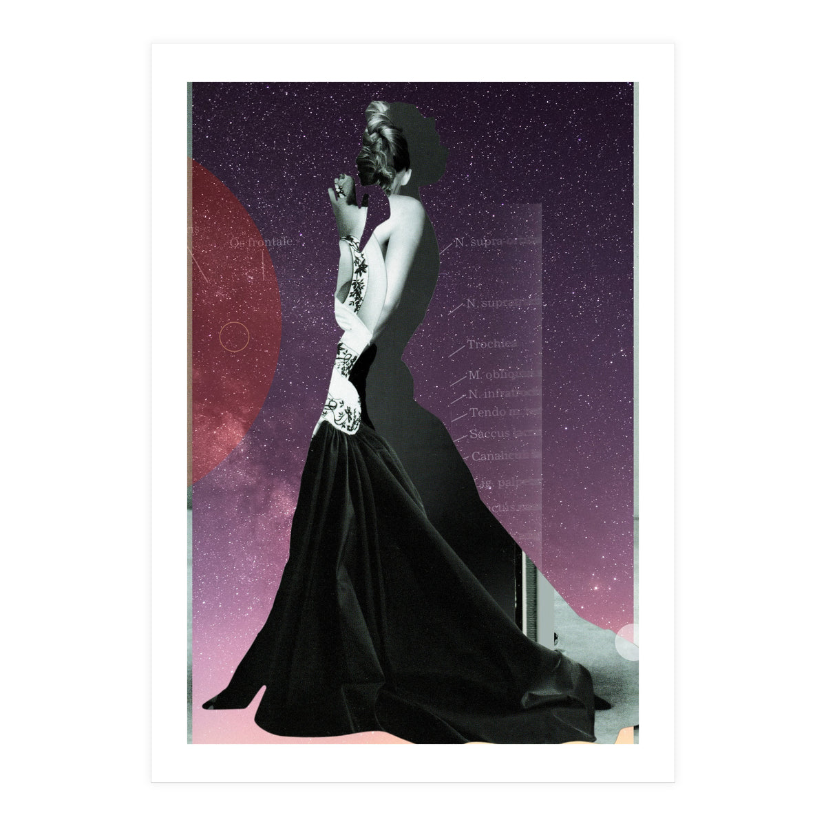 Princess (Print Only)