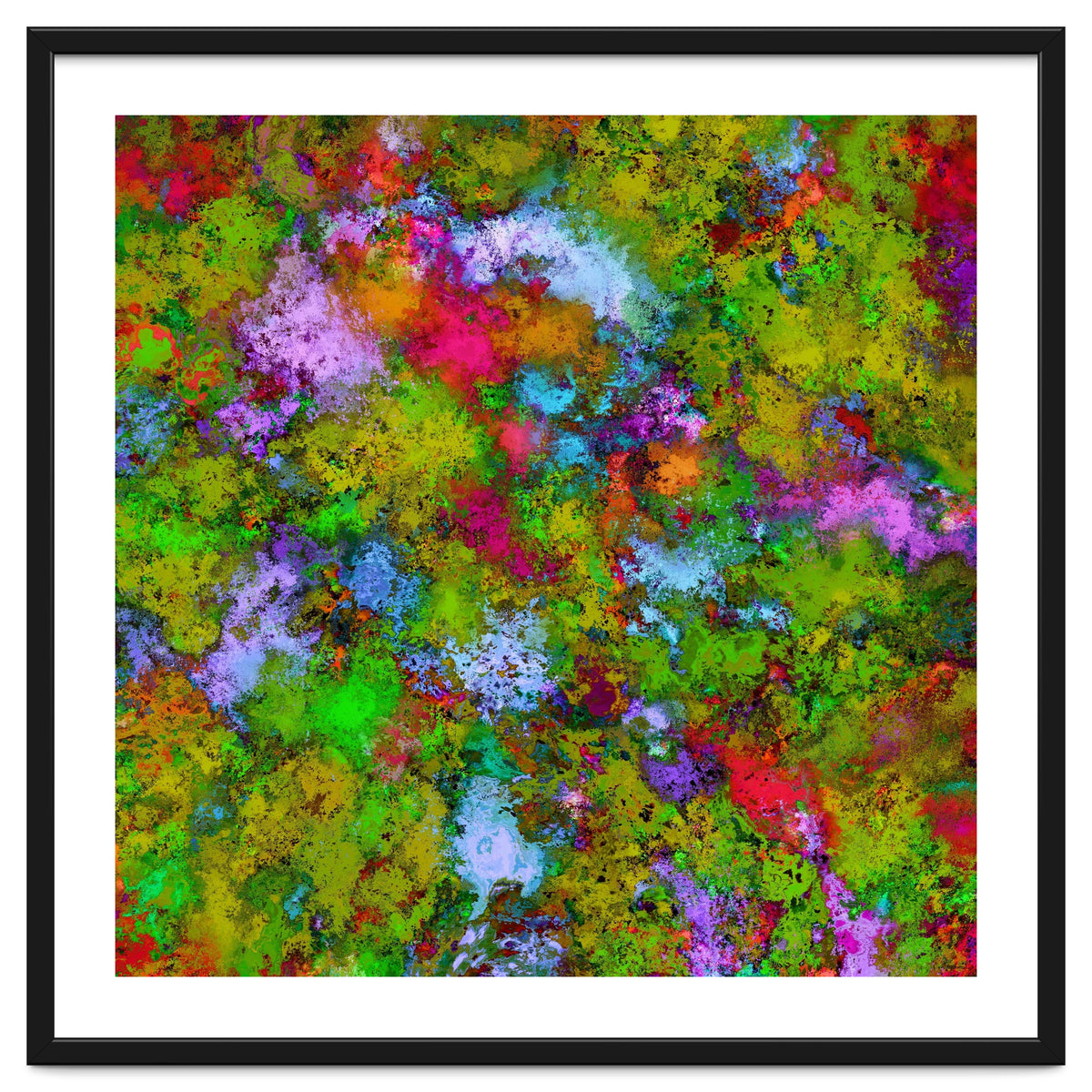 Above The Tree Canopy