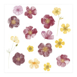 Pressed Flowers (Print Only) thumbnail