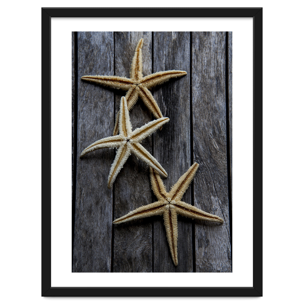 Starfishes in wooden