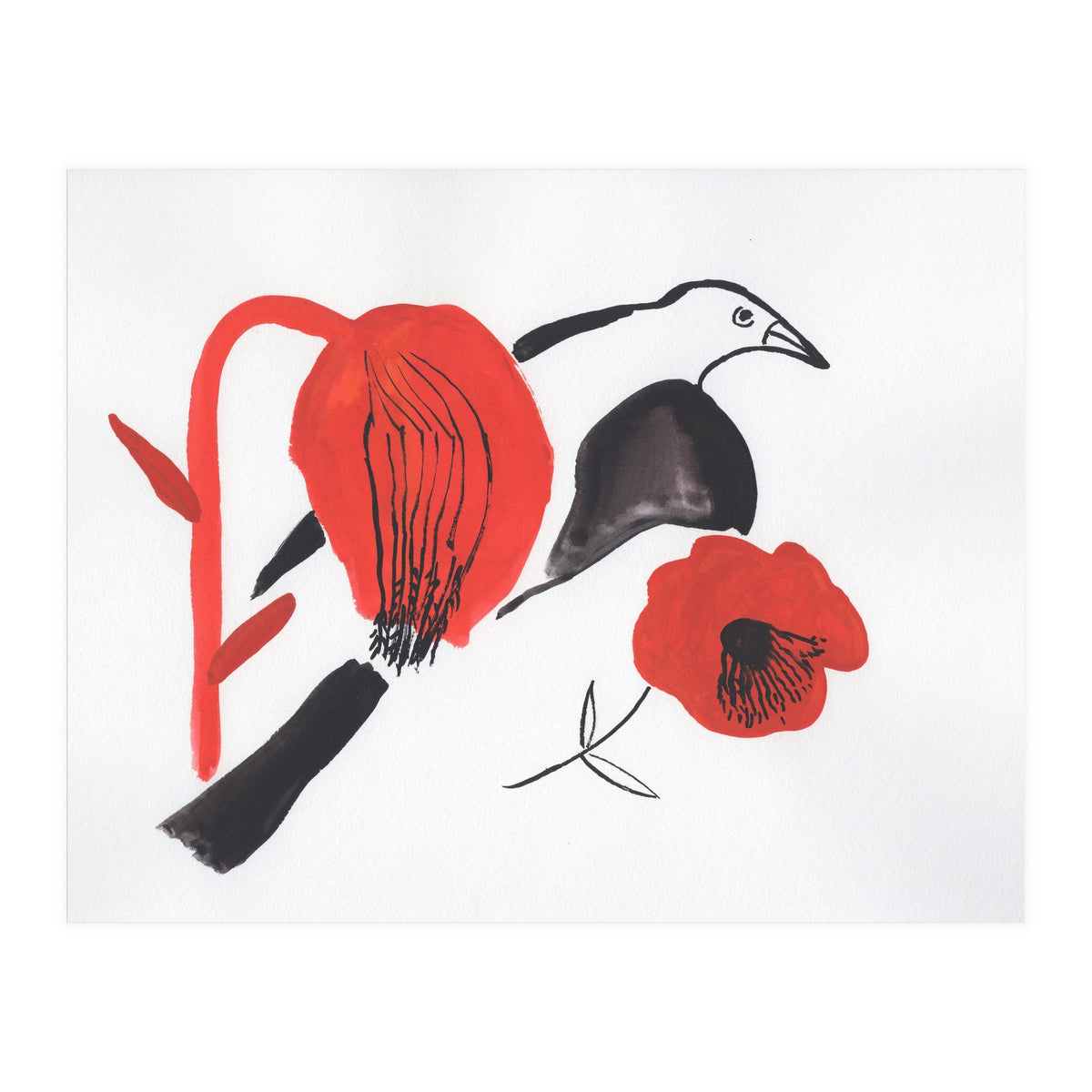 Black Bird And Poppies (Print Only)