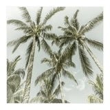 Lovely Palm Trees | Vintage (Print Only) thumbnail