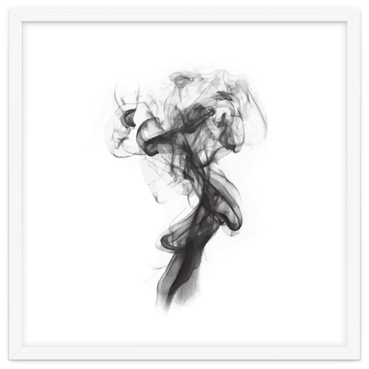 THE PORTRAIT OF A LADY