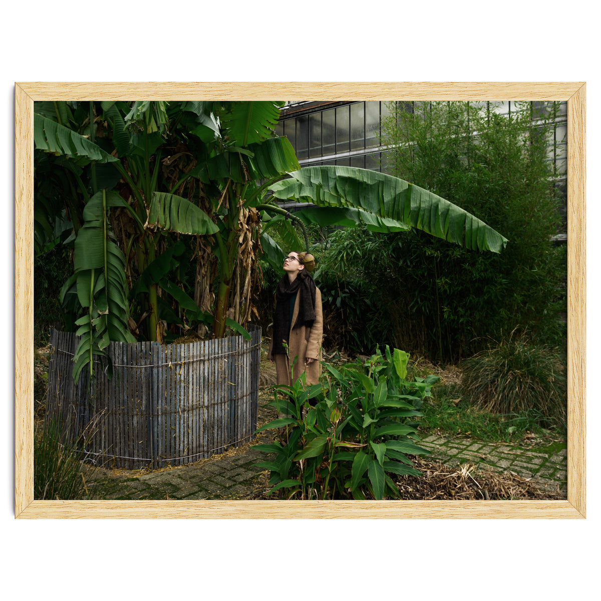 Transition from Summer to Winter