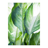 Tropic Abstract (Print Only) thumbnail
