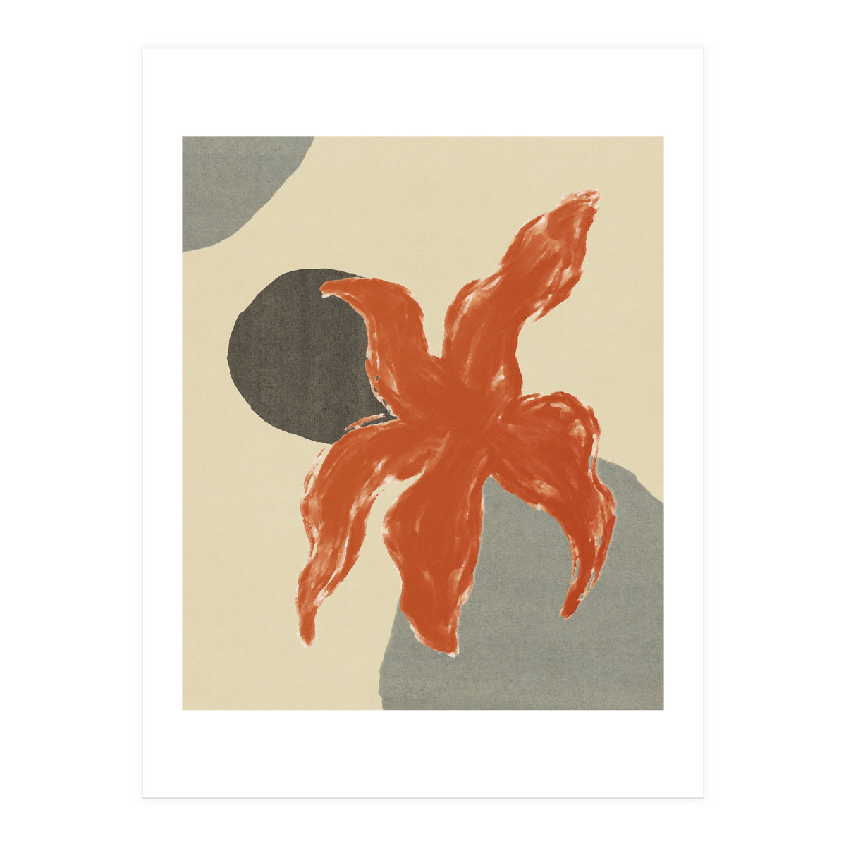 Wobbly Sea Star On Rocks \\ Abstract Composition (Print Only)