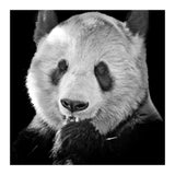 Great Panda (Print Only) thumbnail