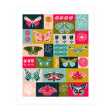 Lepidoptery (Print Only) thumbnail