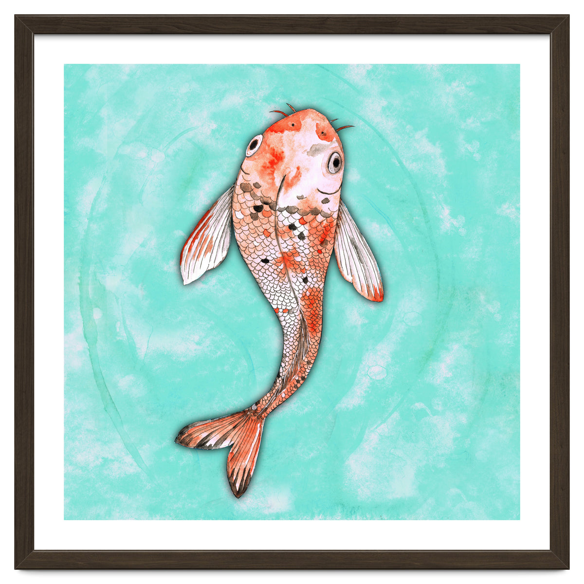 Koi fish
