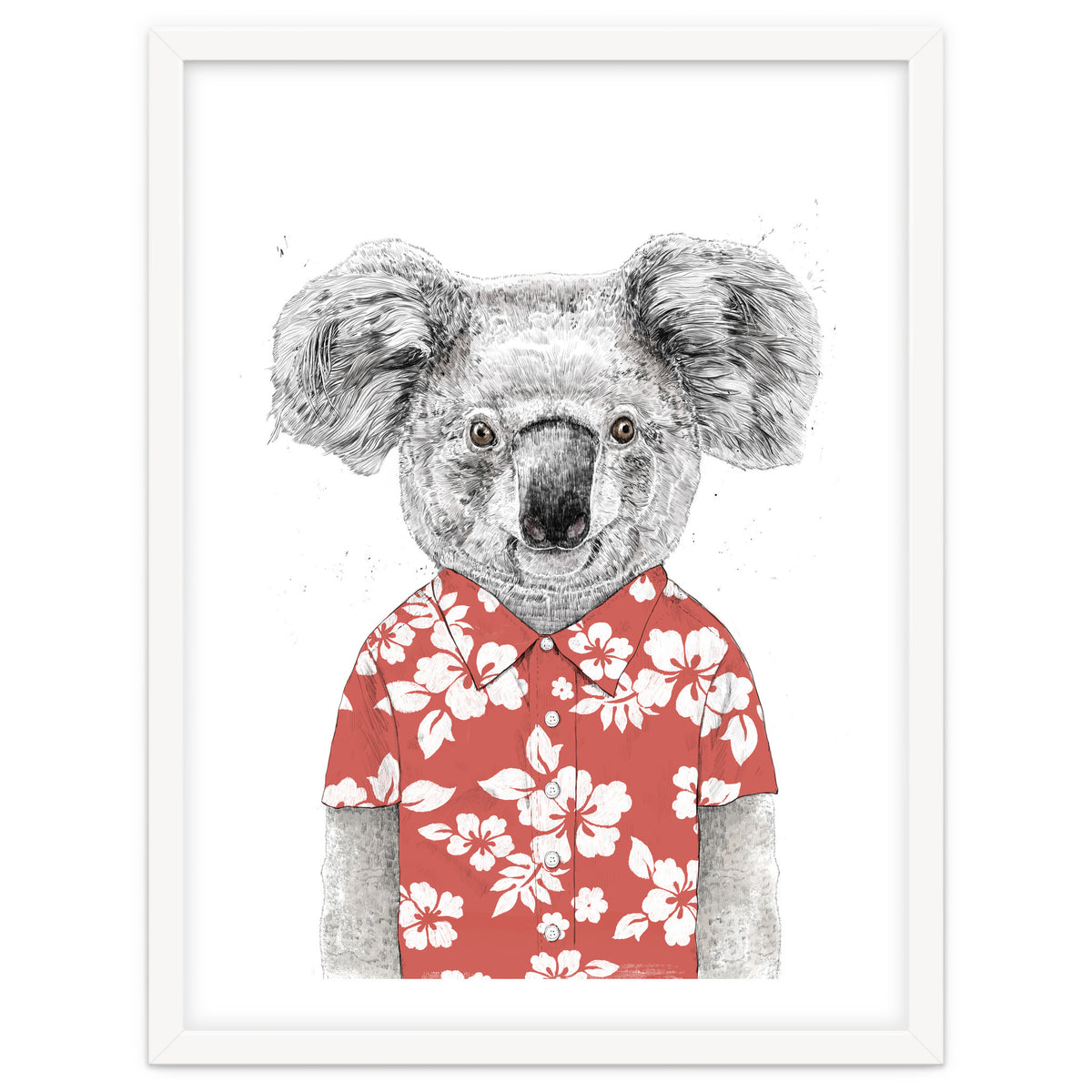 Summer Koala