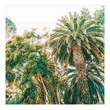 Newport (Print Only) thumbnail