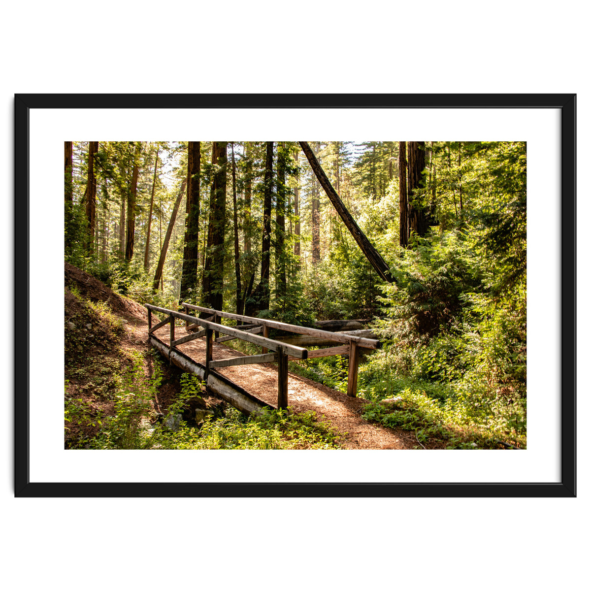 Ewoldsen Trail Bridge