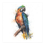 Parrot - Wildlife Collection (Print Only) thumbnail