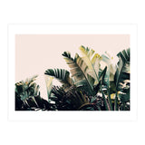 Paradise #4  (Print Only) thumbnail