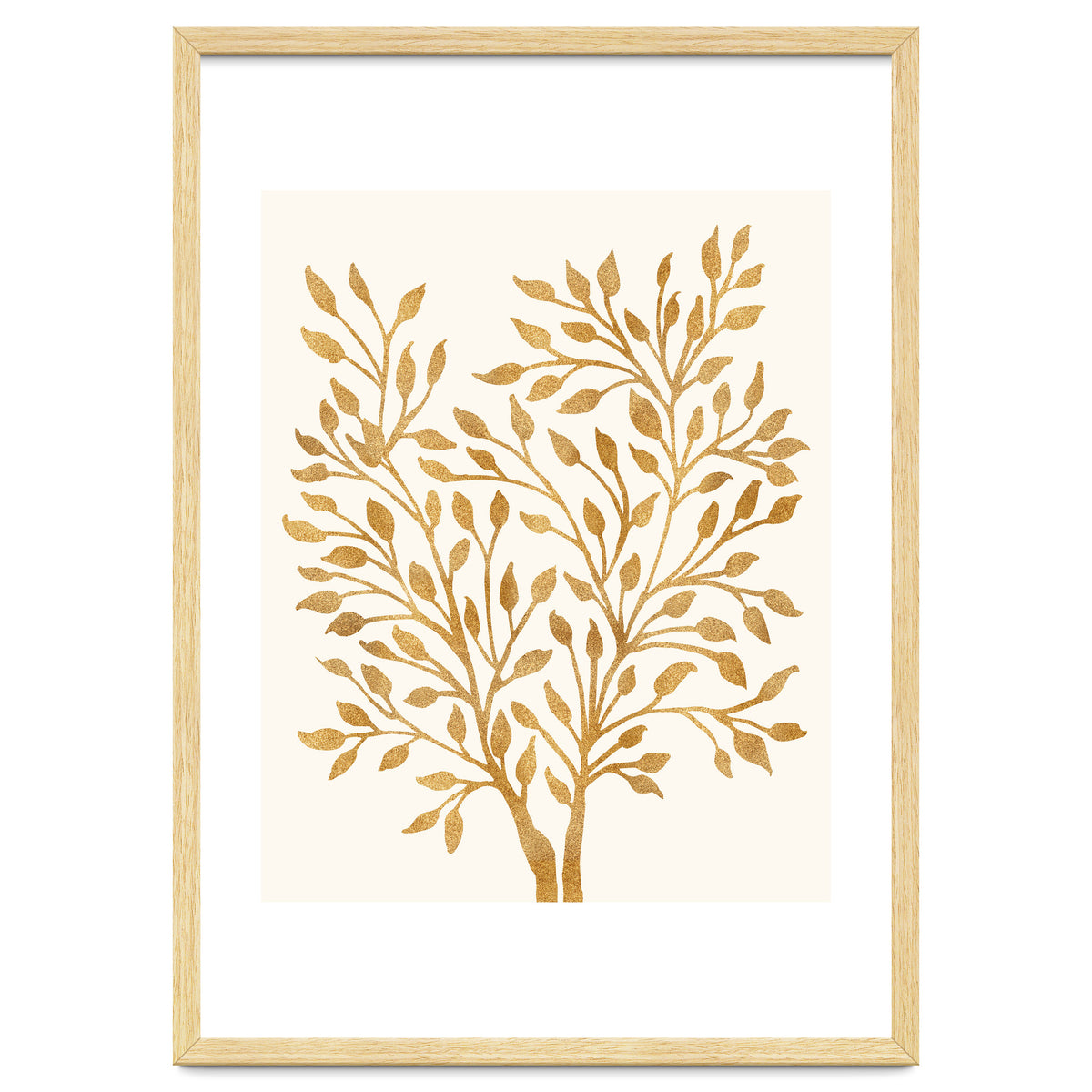 Golden Ficus 4x5
