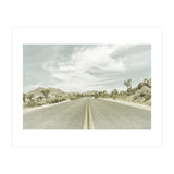 Joshua Trees, Park Boulevard | Vintage (Print Only) thumbnail