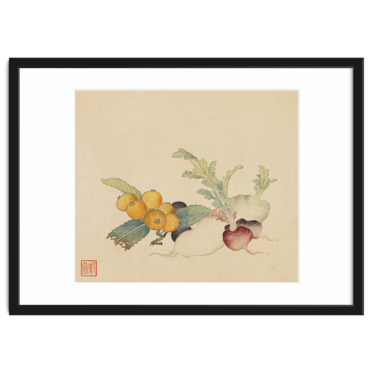 Wang Chengpi~flowers And Vegetables, Vegetables, Fruits, Loquat, White Radish, Carrot, Radish
