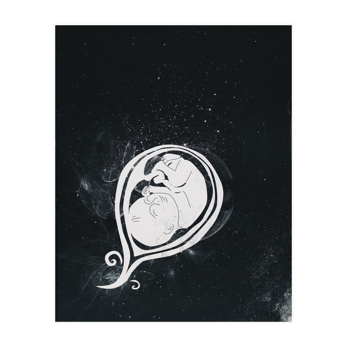 Baby Cosmos (Print Only)