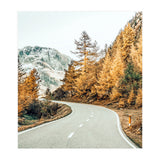 Snow and Golden Pine (Print Only) thumbnail
