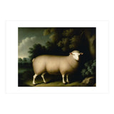 Sheep Classical Oil Painting (Print Only) thumbnail