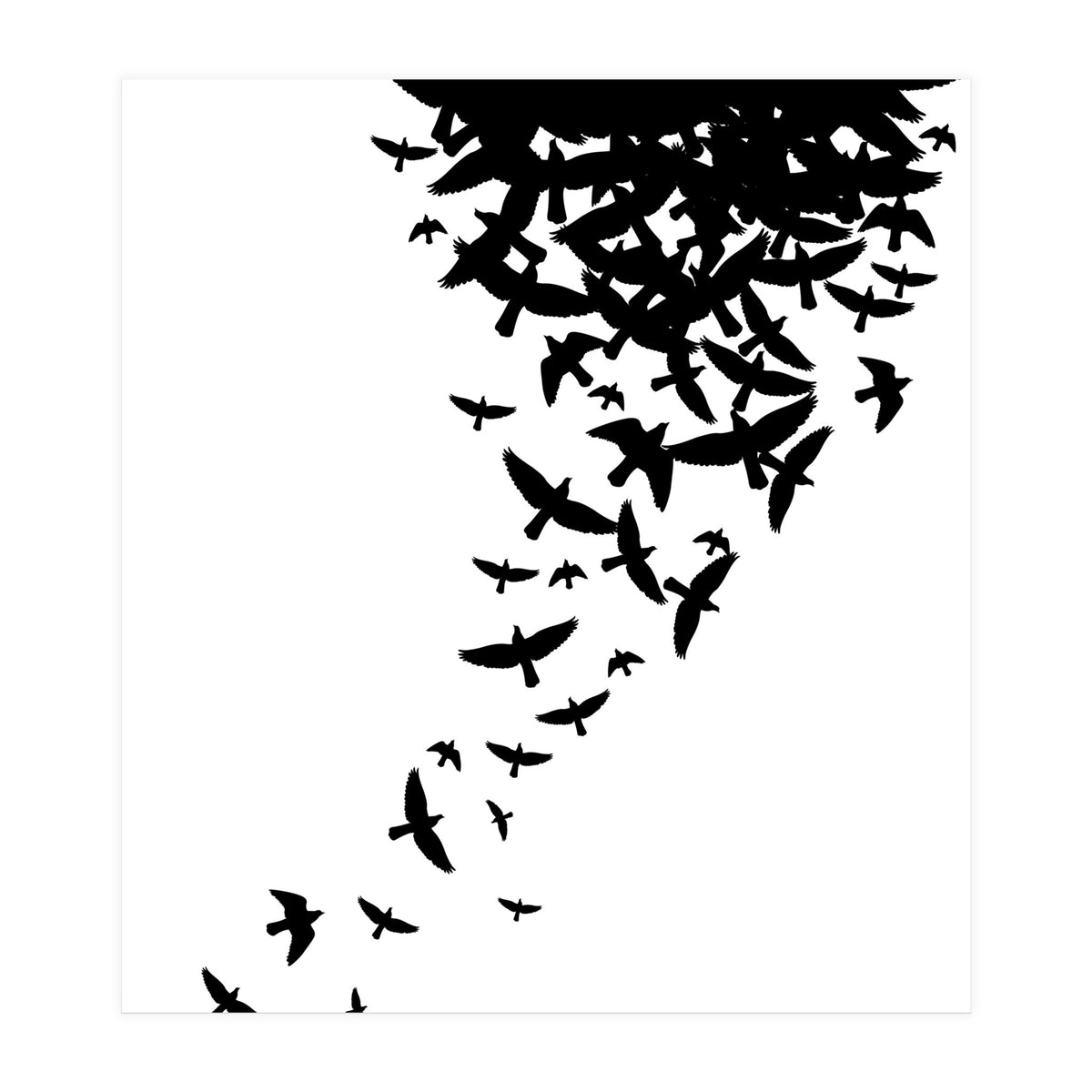 Birds Fly (Print Only)