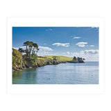 Estuary (Print Only) thumbnail