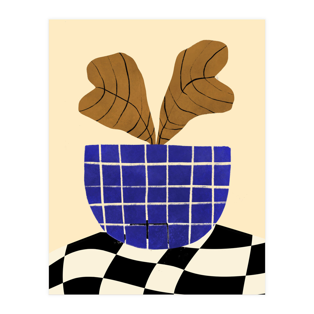 Heuchera (Print Only)