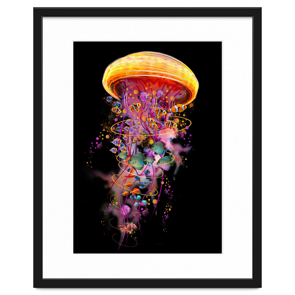 Jelly Fish Ride Summer2018 Dbh