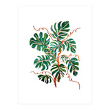Monstera Deliciosa (Print Only) thumbnail