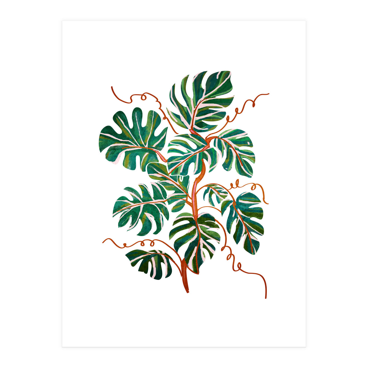 Monstera Deliciosa (Print Only)