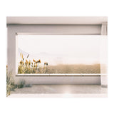 GRASS BY THE WINDOW (Print Only) thumbnail