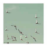 Mint Skies (Print Only) thumbnail