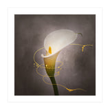 Graceful flower - Calla No. 4 | vintage style gold (Print Only) thumbnail