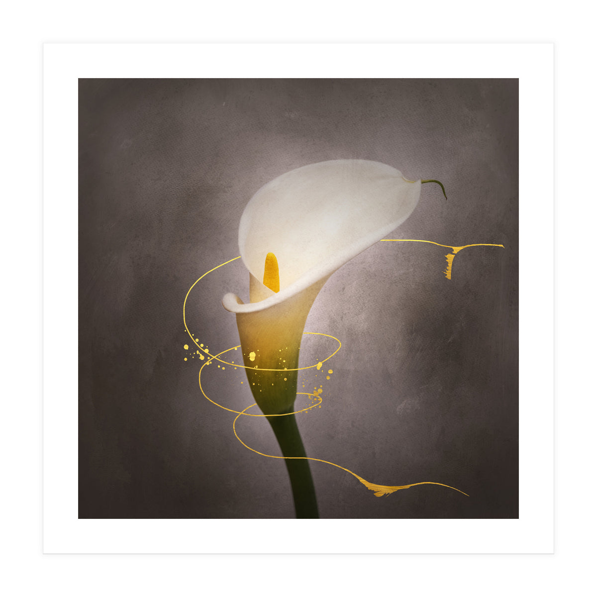 Graceful flower - Calla No. 4 | vintage style gold (Print Only)